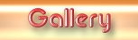 �z�[���y�[�W�f�U�C���������